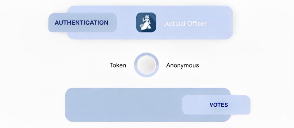Image explaining how the voting platform works